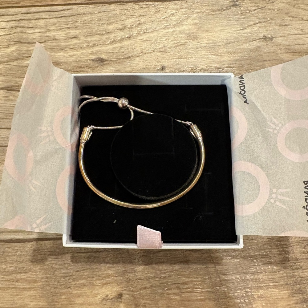 Pandora Adjustable Charm Bracelet